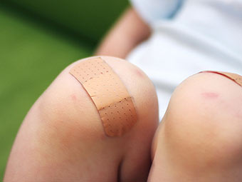 Fußreflexzonen-Therapie, Kräuter-und Wildpflanzen, Naturheilkunde