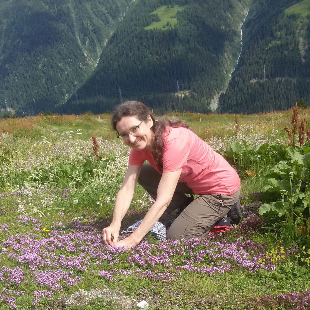 Fußreflexzonen-Therapie, Kräuter-und Wildpflanzen, Naturheilkunde