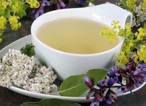 Fußreflexzonen-Therapie, Kräuter-und Wildpflanzen, Naturheilkunde